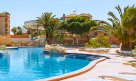 mar etang pool and palm trees